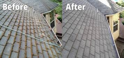 Before & After Roof Cleaning